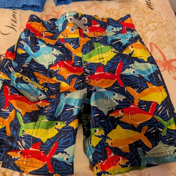 Boys Summer Swim Gear 24M/2T - Picture 4 of 7